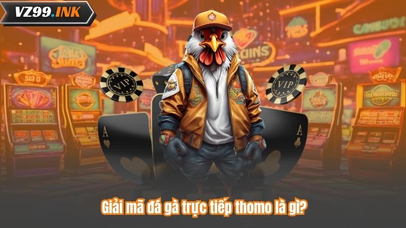 Giải mã đá gà trực tiếp thomo là gì?